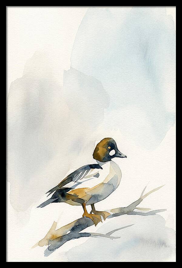 Goldeneye Duck Perched Gracefully