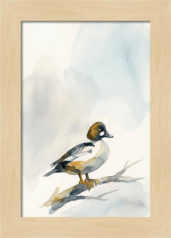 Goldeneye Duck Perched Gracefully