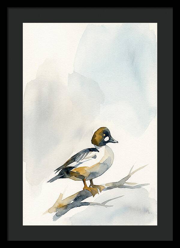 Goldeneye Duck Perched Gracefully