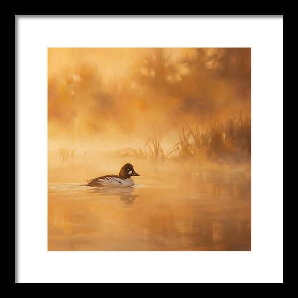 Goldeneye Gliding Through Mist