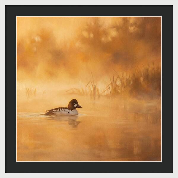 Goldeneye Gliding Through Mist