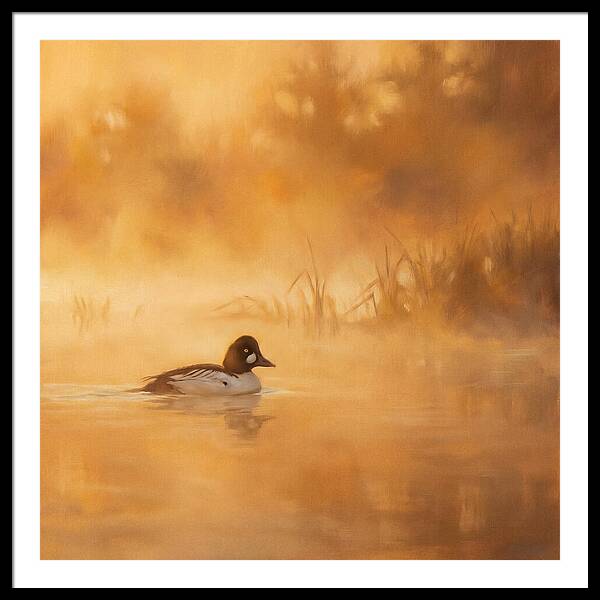 Goldeneye Gliding Through Mist