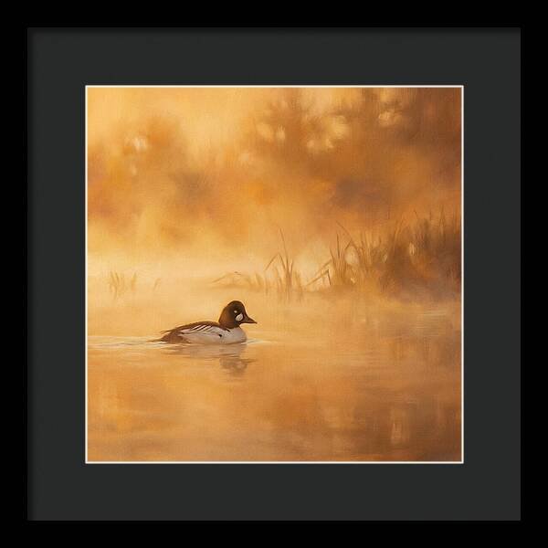 Goldeneye Gliding Through Mist