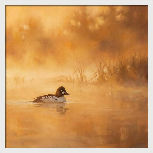 Goldeneye Gliding Through Mist