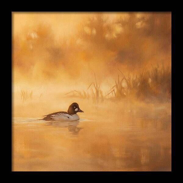 Goldeneye Gliding Through Mist
