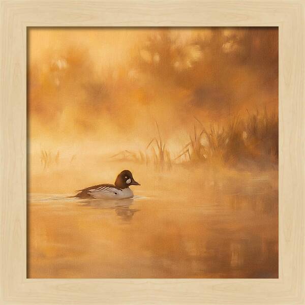 Goldeneye Gliding Through Mist