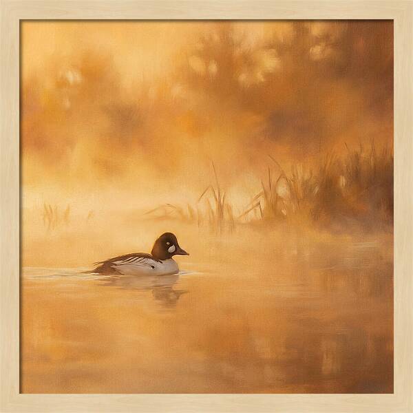 Goldeneye Gliding Through Mist