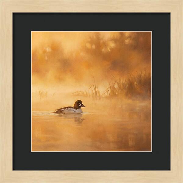 Goldeneye Gliding Through Mist