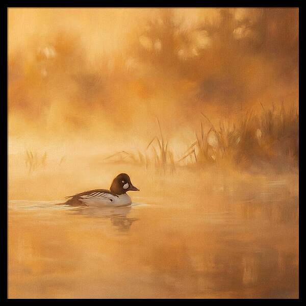 Goldeneye Gliding Through Mist