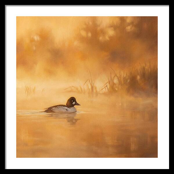 Goldeneye Gliding Through Mist