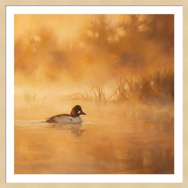 Goldeneye Gliding Through Mist