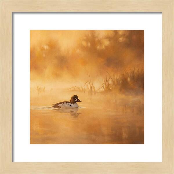 Goldeneye Gliding Through Mist