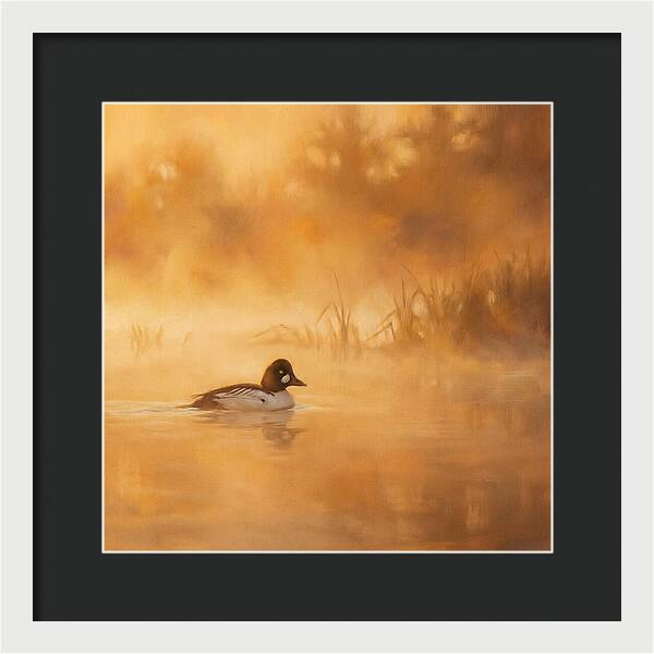 Goldeneye Gliding Through Mist
