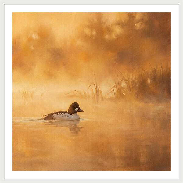 Goldeneye Gliding Through Mist