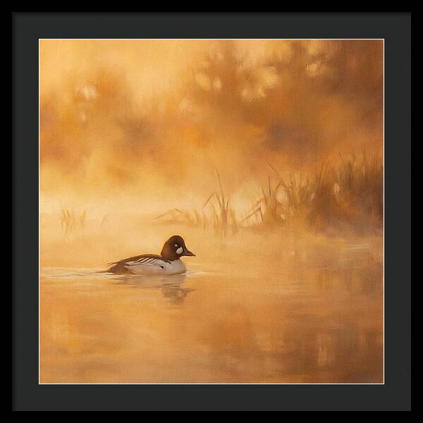Goldeneye Gliding Through Mist