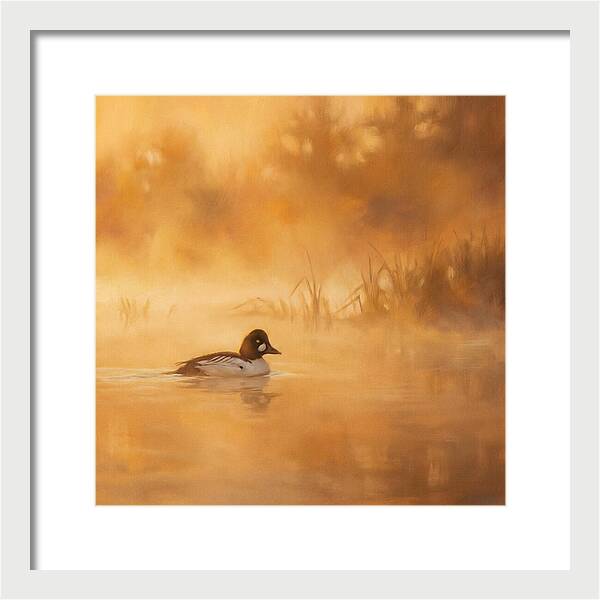 Goldeneye Gliding Through Mist