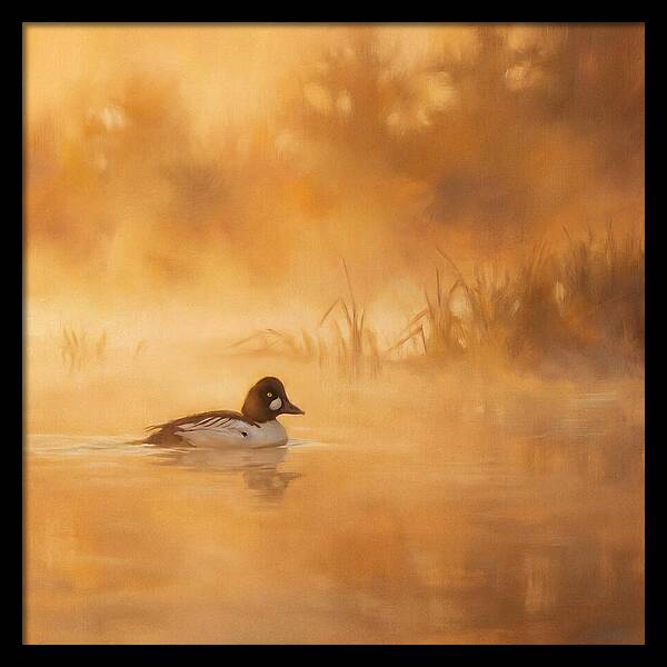 Goldeneye Gliding Through Mist