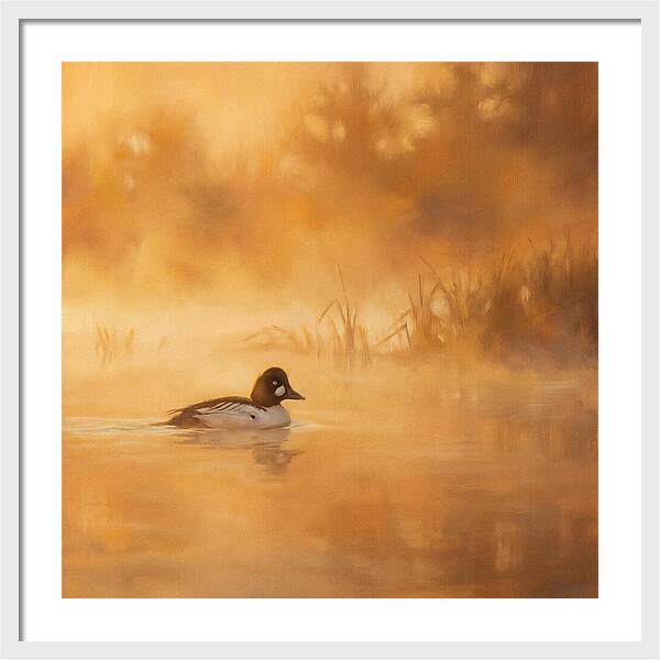 Goldeneye Gliding Through Mist