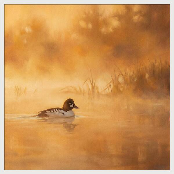 Goldeneye Gliding Through Mist