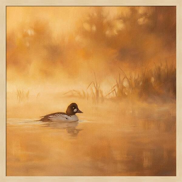 Goldeneye Gliding Through Mist