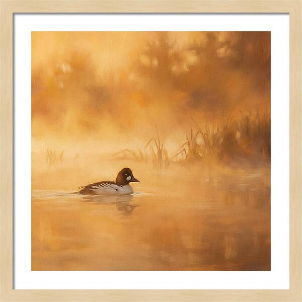 Goldeneye Gliding Through Mist