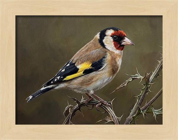 Goldfinch Perched On Thorns