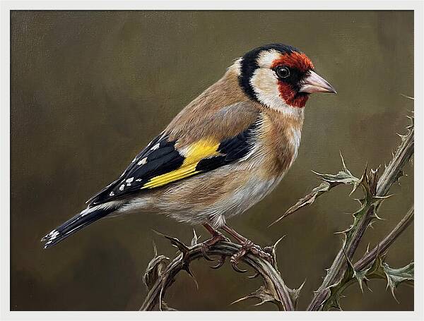 Goldfinch Perched On Thorns