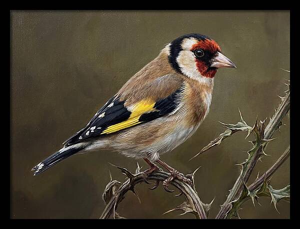 Goldfinch Perched On Thorns