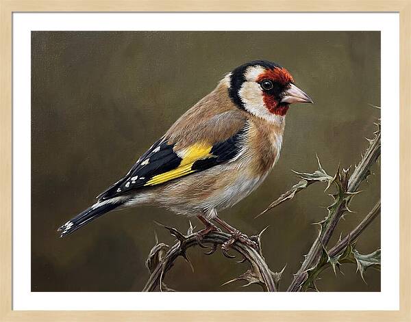Goldfinch Perched On Thorns