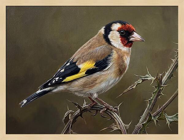 Goldfinch Perched On Thorns