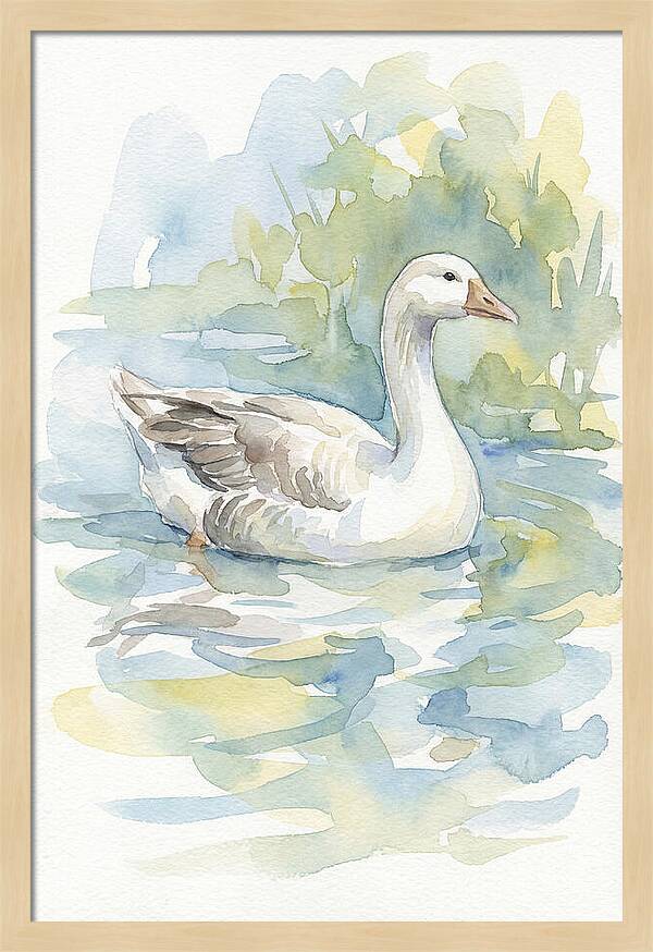 Goose Gliding Through Water