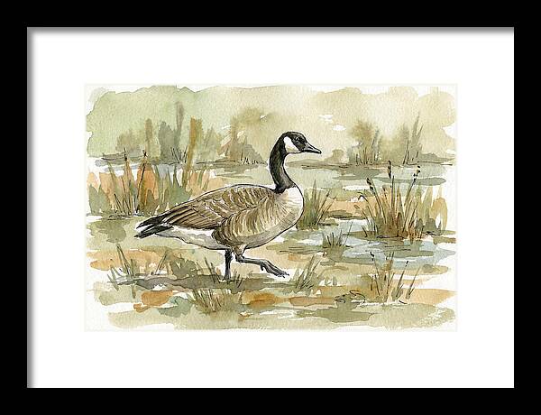 Goose Walking Through Marshland