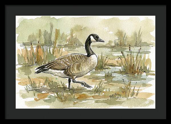 Goose Walking Through Marshland