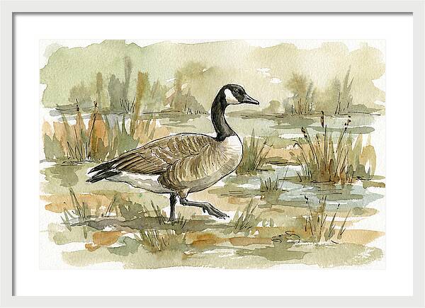 Goose Walking Through Marshland
