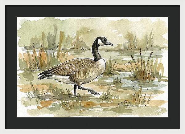 Goose Walking Through Marshland