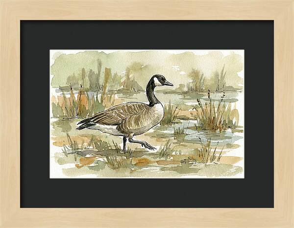 Goose Walking Through Marshland