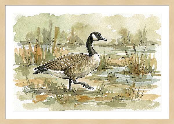 Goose Walking Through Marshland