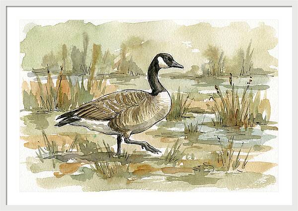 Goose Walking Through Marshland