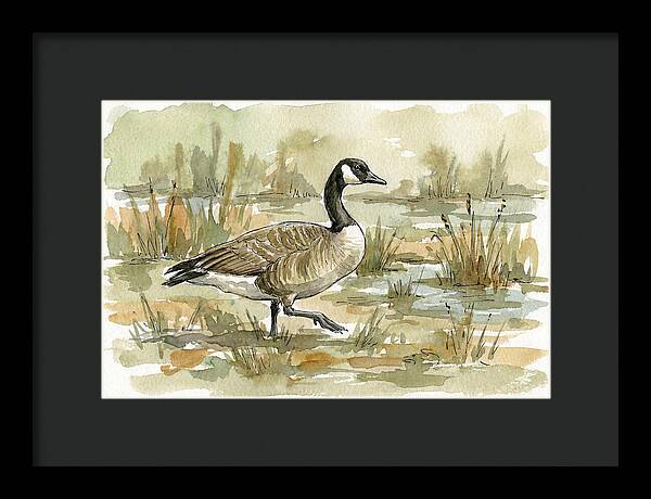 Goose Walking Through Marshland