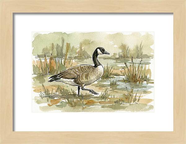 Goose Walking Through Marshland