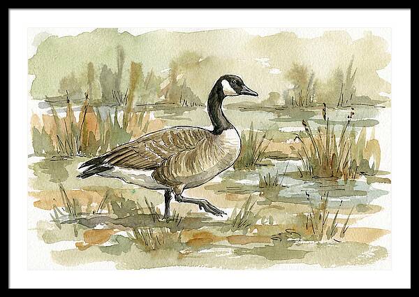 Goose Walking Through Marshland
