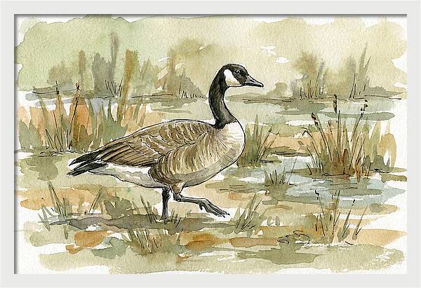 Goose Walking Through Marshland