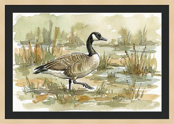 Goose Walking Through Marshland