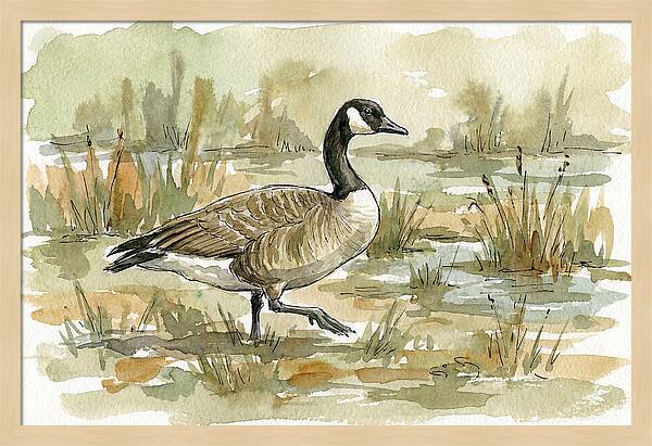 Goose Walking Through Marshland