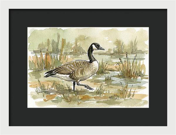Goose Walking Through Marshland