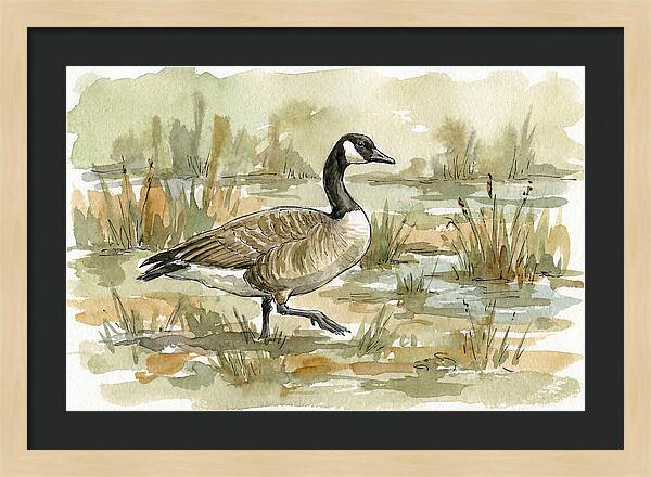 Goose Walking Through Marshland