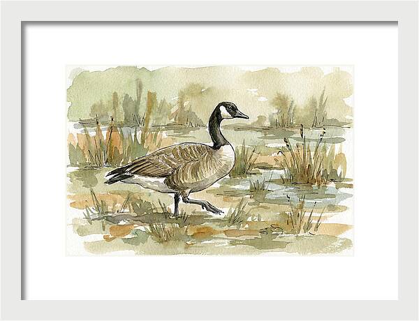 Goose Walking Through Marshland