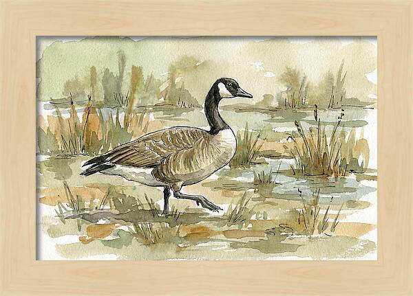Goose Walking Through Marshland