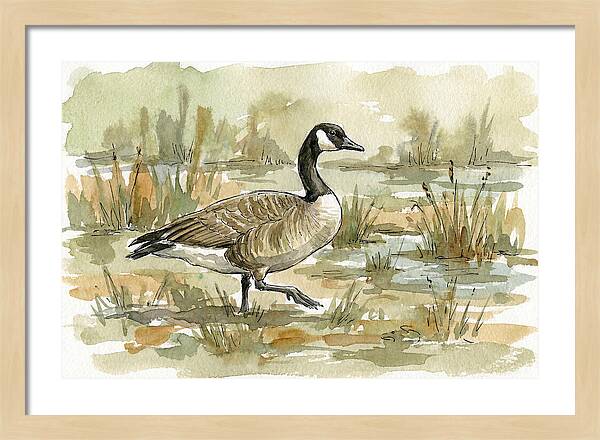 Goose Walking Through Marshland