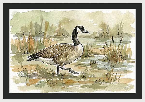 Goose Walking Through Marshland